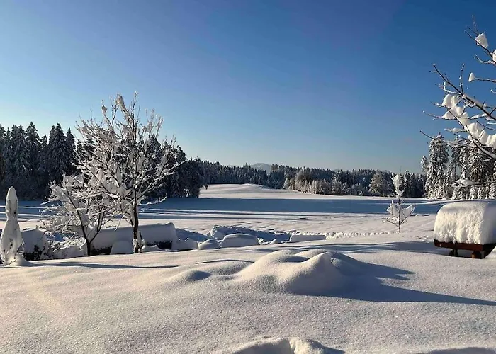 Apartamento Allgaeuhaus Thomas Am Bauernhof
